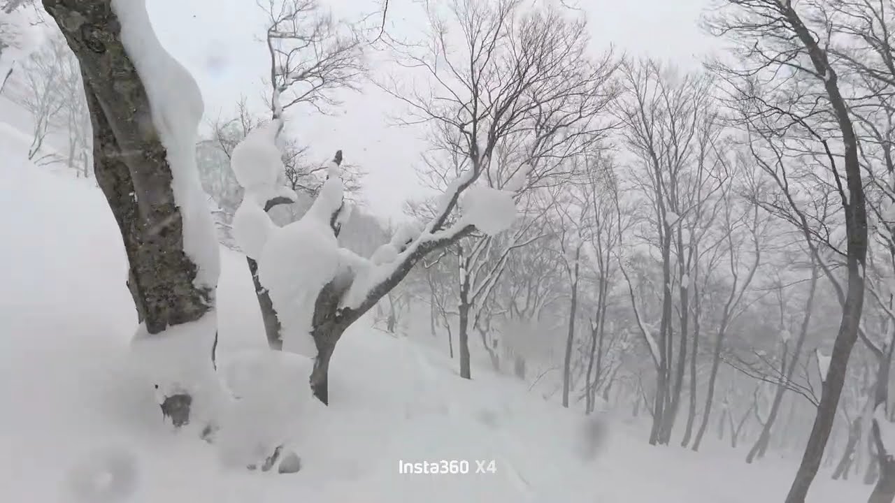 🏔️❄️吹雪の八甲田山・雛岳バックカントリー　vol.2　2026.1.11
