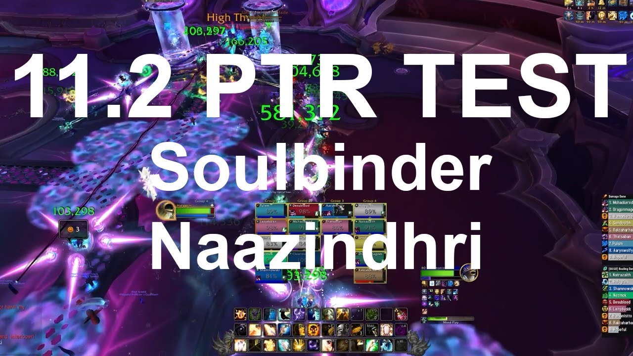 Holy Priest & Resto Shaman 11.2 PTR Manaforge Sanctum - Mythic Soulbinder Naazindhri Testing