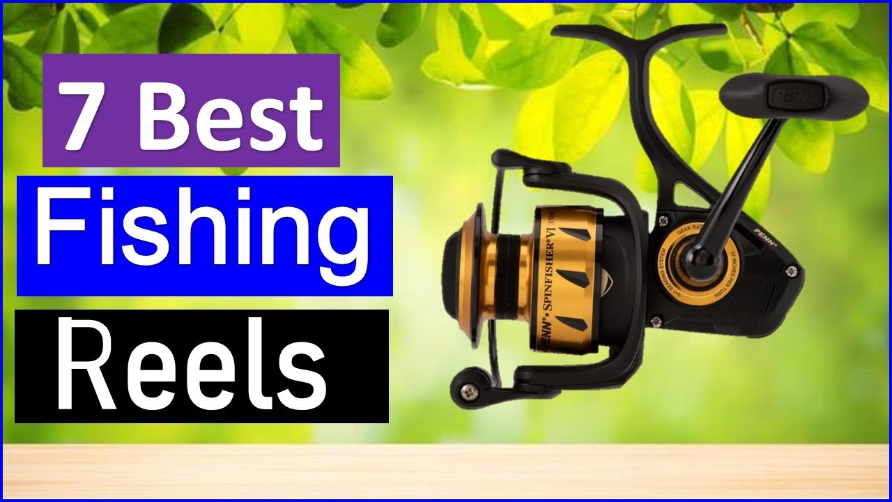 Best Fishing Reels in 2026 | Top 7 Best Fishing Reels - Reviewed