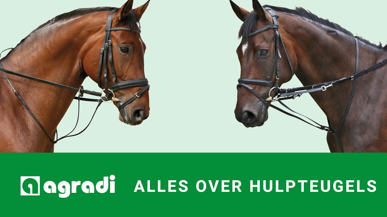 Alles over hulpteugels