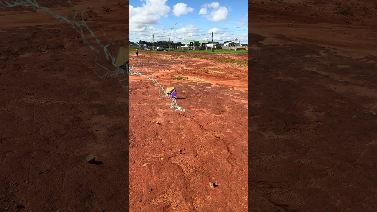 A Pipa Subiu e Bateu de Bico