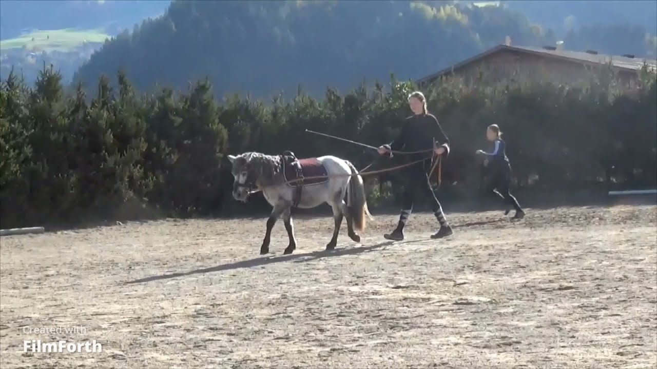 Ponyshow im Herbst