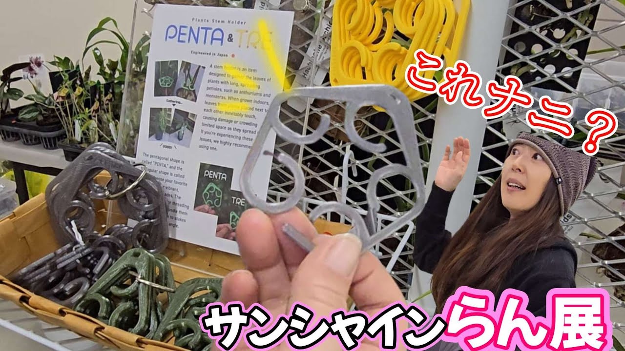 【アイデア】らん展で見つけた便利グッズお試し購入🌱