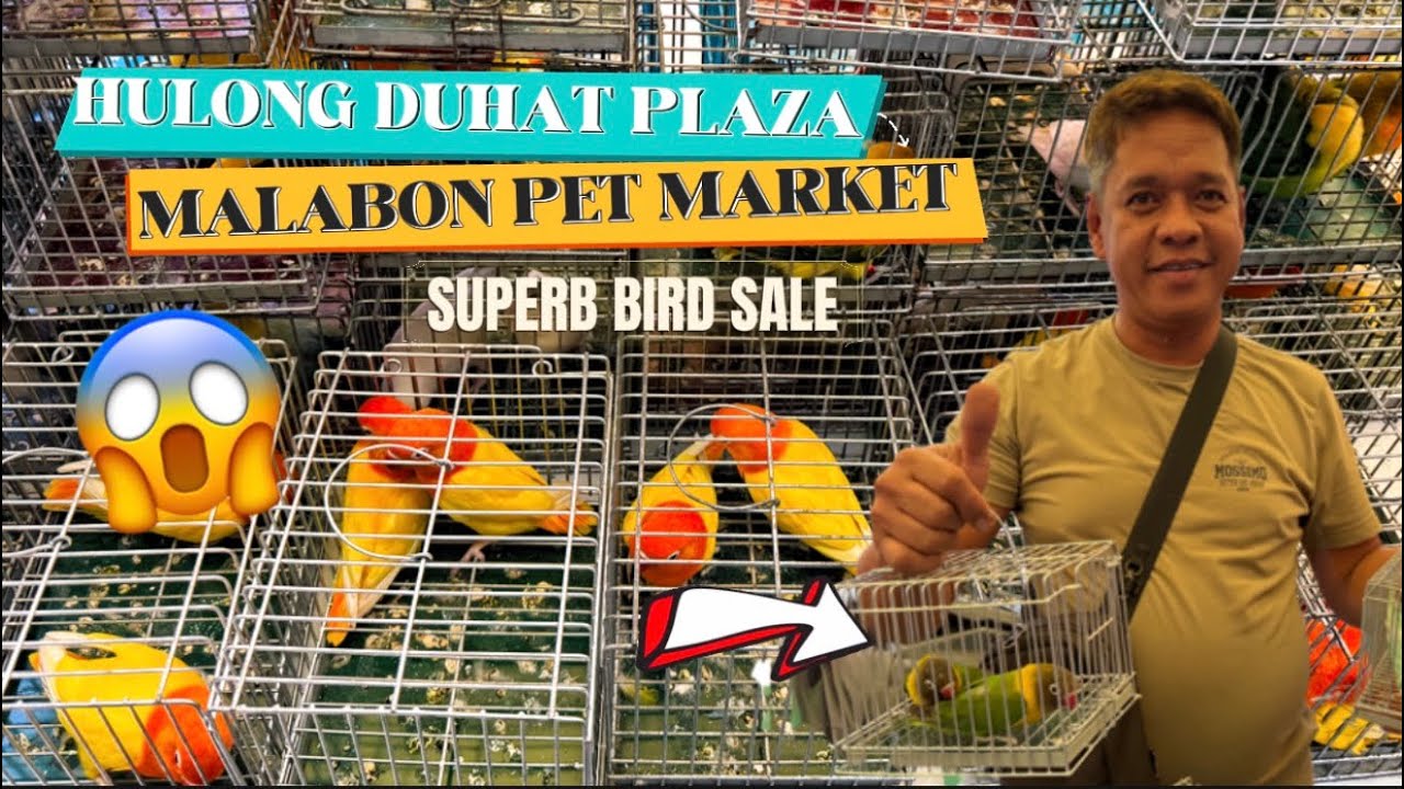 GRABE! SUPER BIRD SALE sa Hulong Duhat Plaza Malabon Pet Market! 😱  Gaganda ng Ibon! March 15, 2026