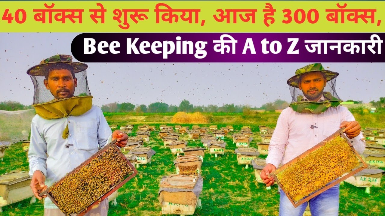 मधुमक्खी पालन |Bee Keeping| इसका सरसो का शहद विदेशों मे महंगे दामों मे बिकता है |