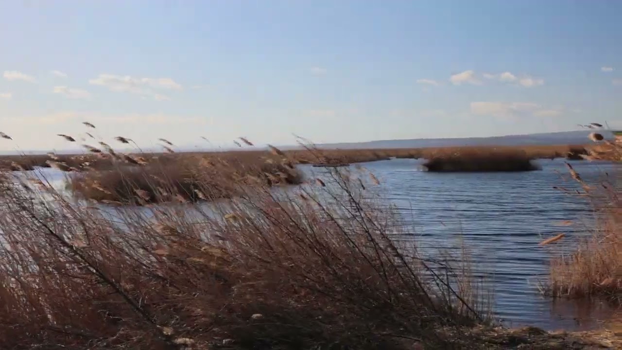 Neusiedlersee im Frühjahr 2024