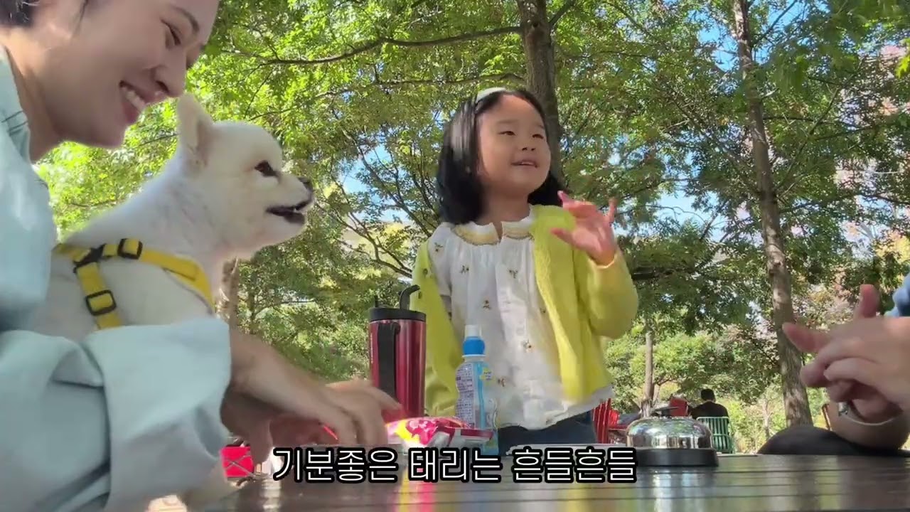 길고길었던 추석연휴