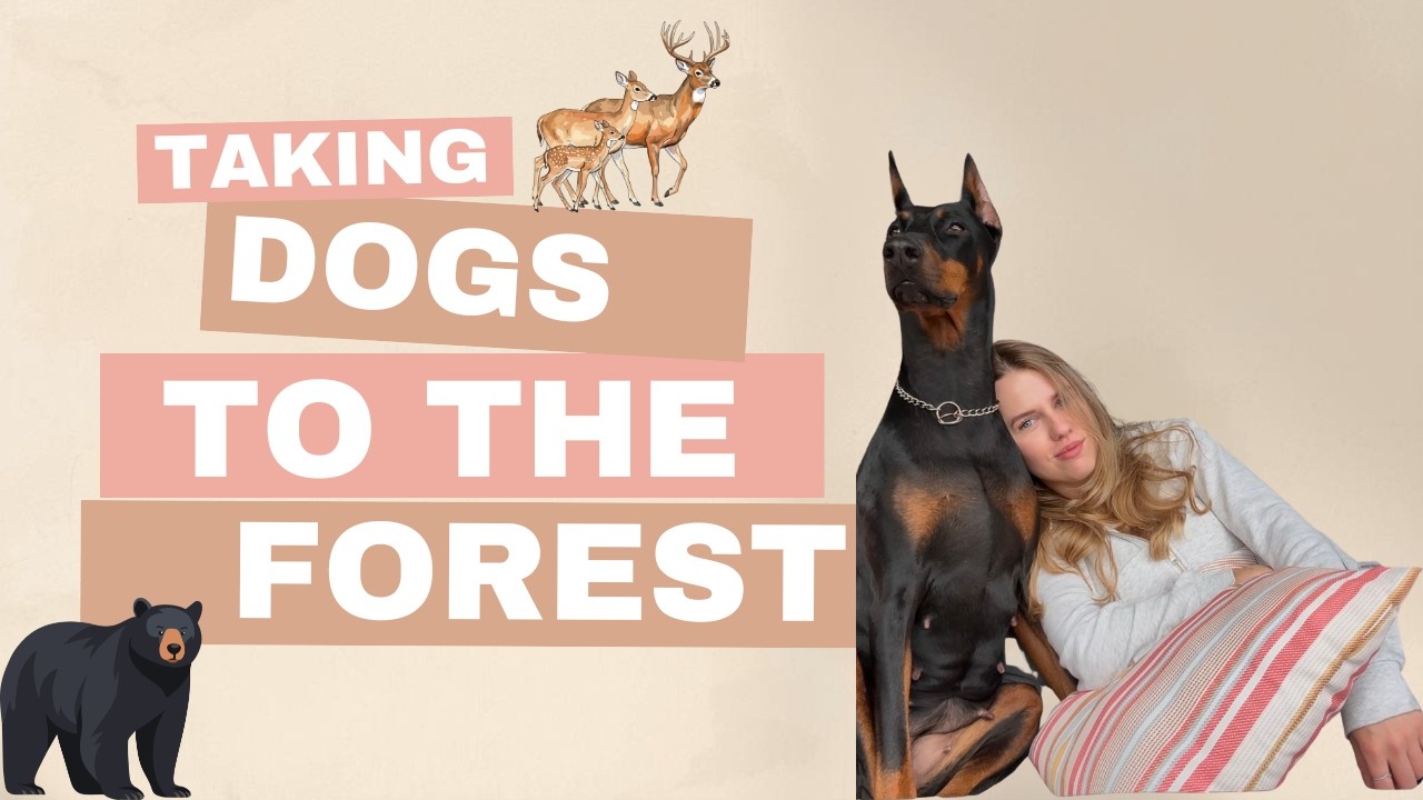 Day in my life | Morning routine & What I feed my Dobermans