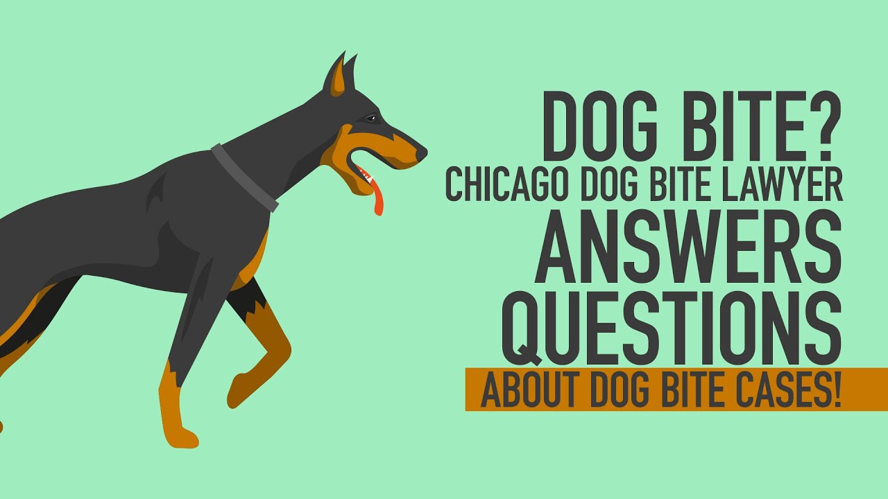 Dog Bite? Chicago Dog Bite Lawyer Answers Questions About Dog Bite Cases!  [BJP#153] [312-500-4500]