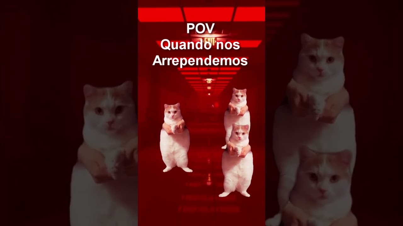 N&oacute;s No Backrooms PT 2 #catshorts #catvideos #central #lion #cat
