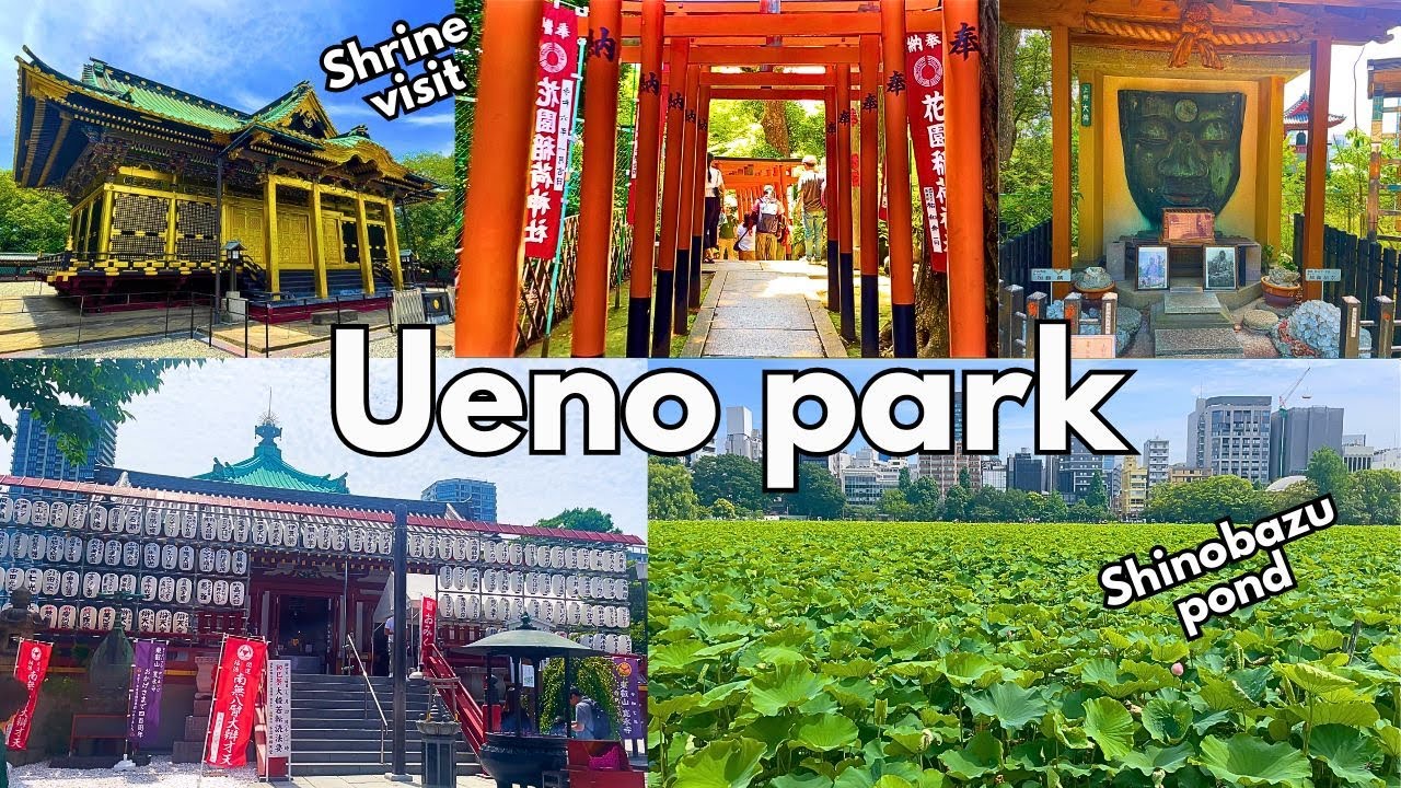 Ueno Park Things to do || Shrines, Museums, Shinobazu pond