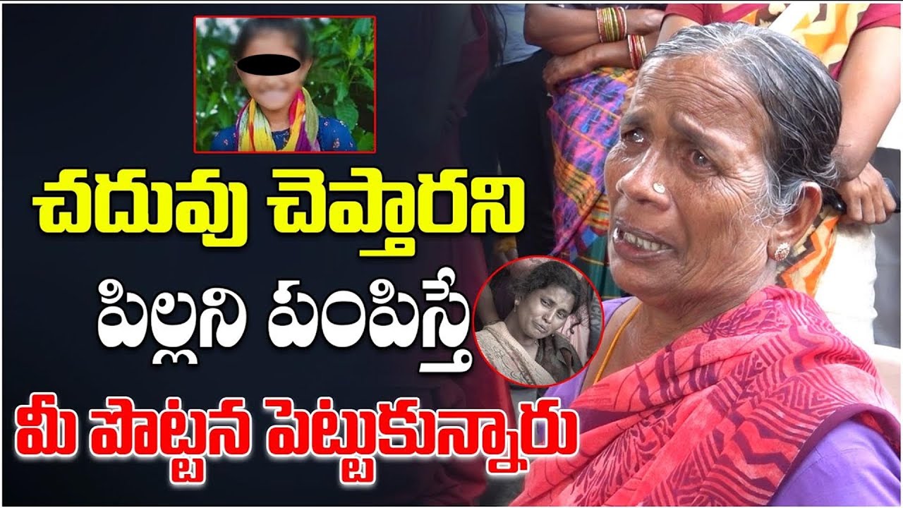 Latest News Updates | Telanaga News Updates | News | Political Tree