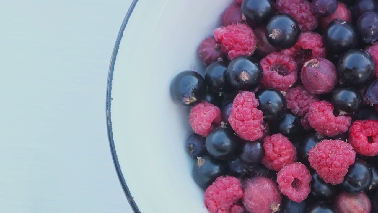 berry Bonanza : world of berries