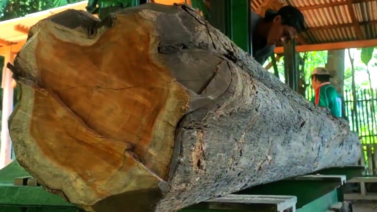 The process of processing teak wood into beautiful, valuable blocks 