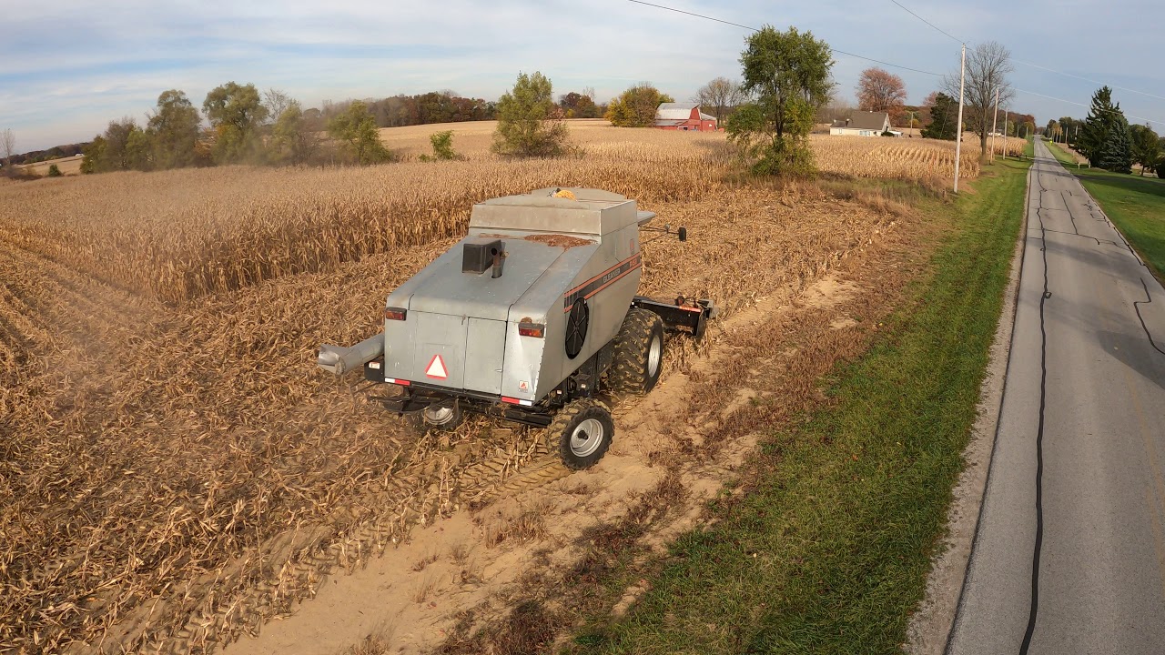 Always a Good Day to Catch a Gleaner R52 (Memories) - Corn Harvesting - Fulton County - Harvest 2020