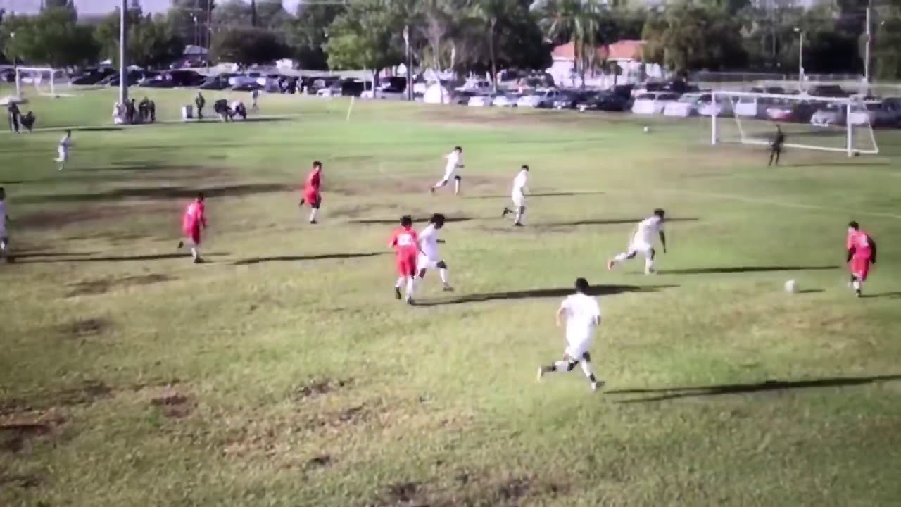 Alexander Guzman Highlight