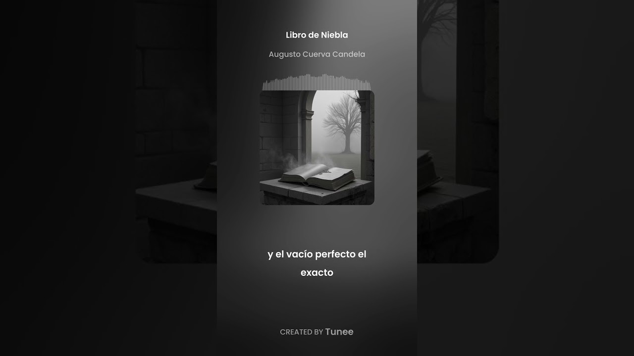 Libro de niebla