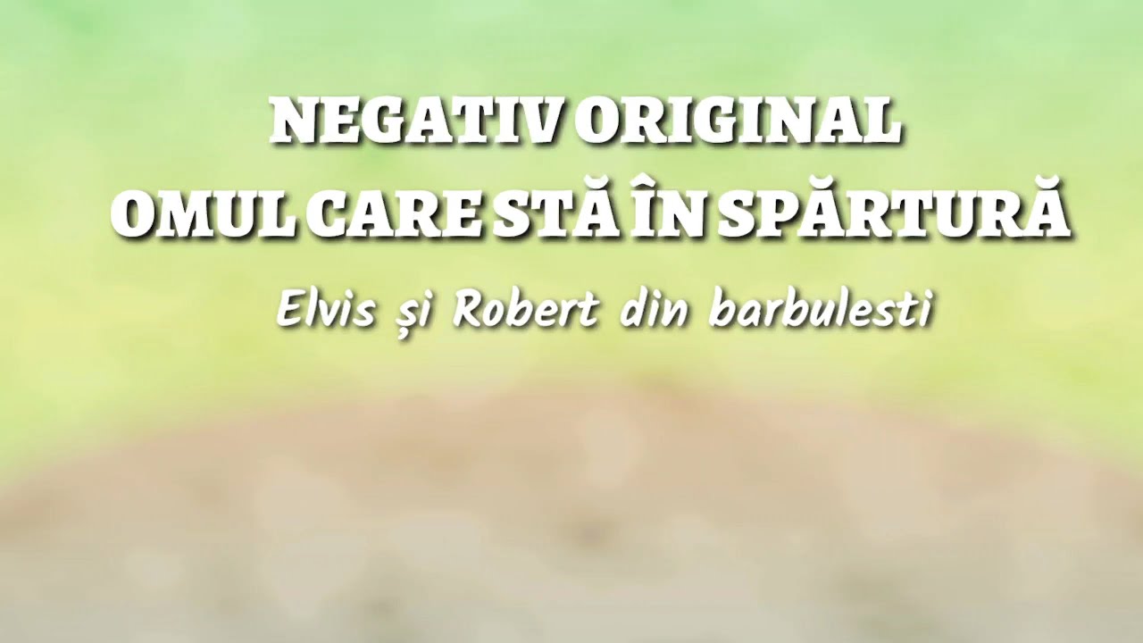 🎤Negativ🎤- Elvis si Robert din Barbulesti - Omul care sta-n spartura! (Instrumental original)