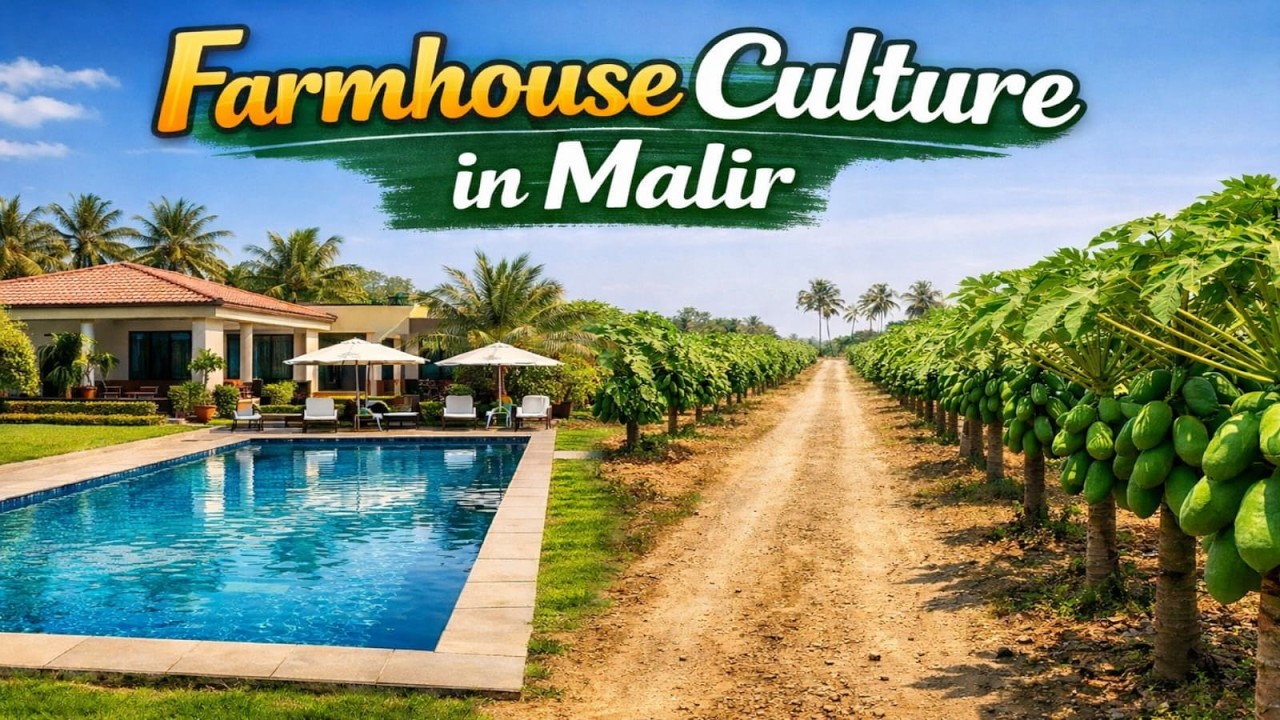 Farmhouse Culture in Malir | Papaya Nursery