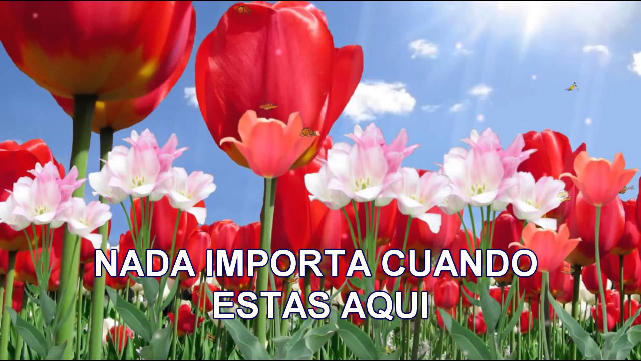 Cuando estamos Juntos Mark Harris