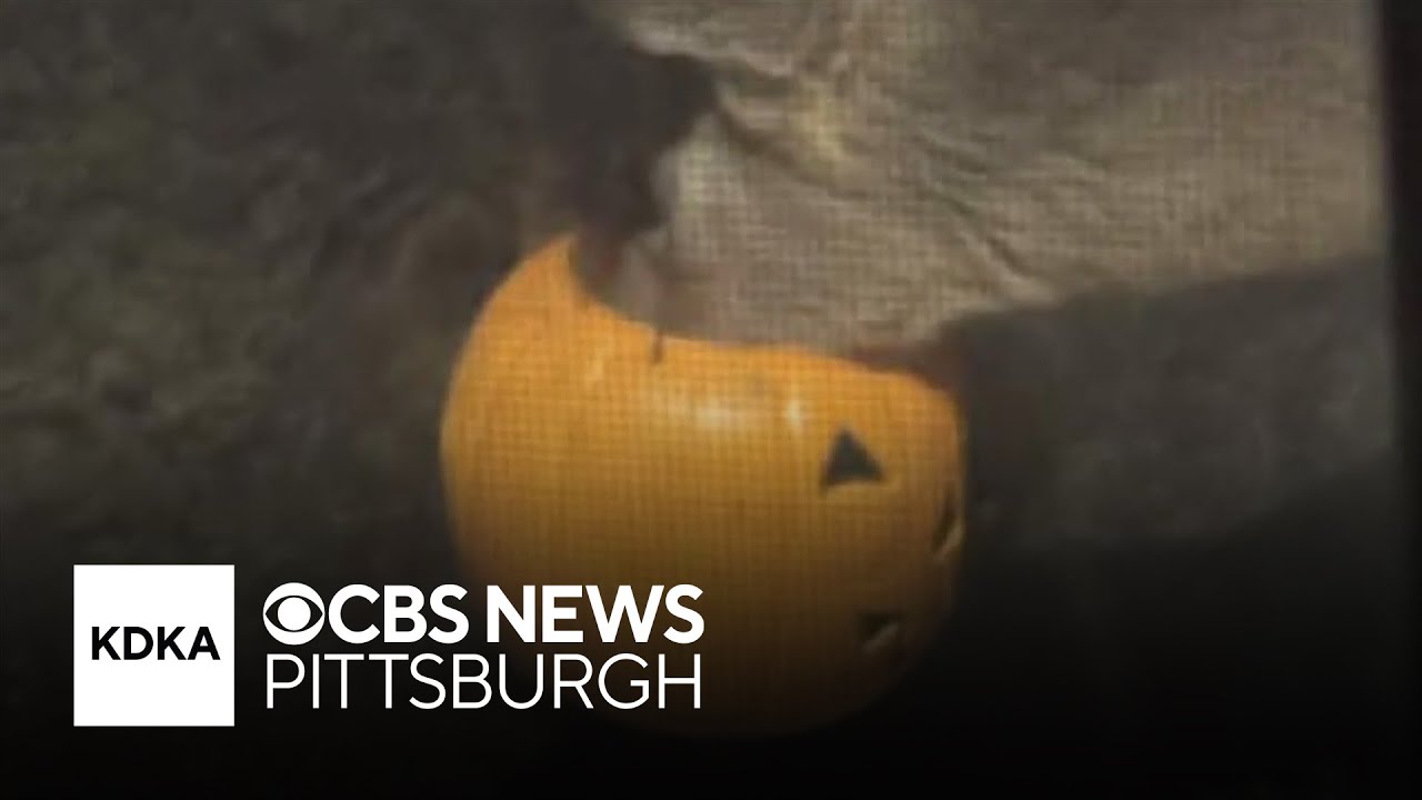 Deer spotted with bucket stuck on its head in Pittsburgh