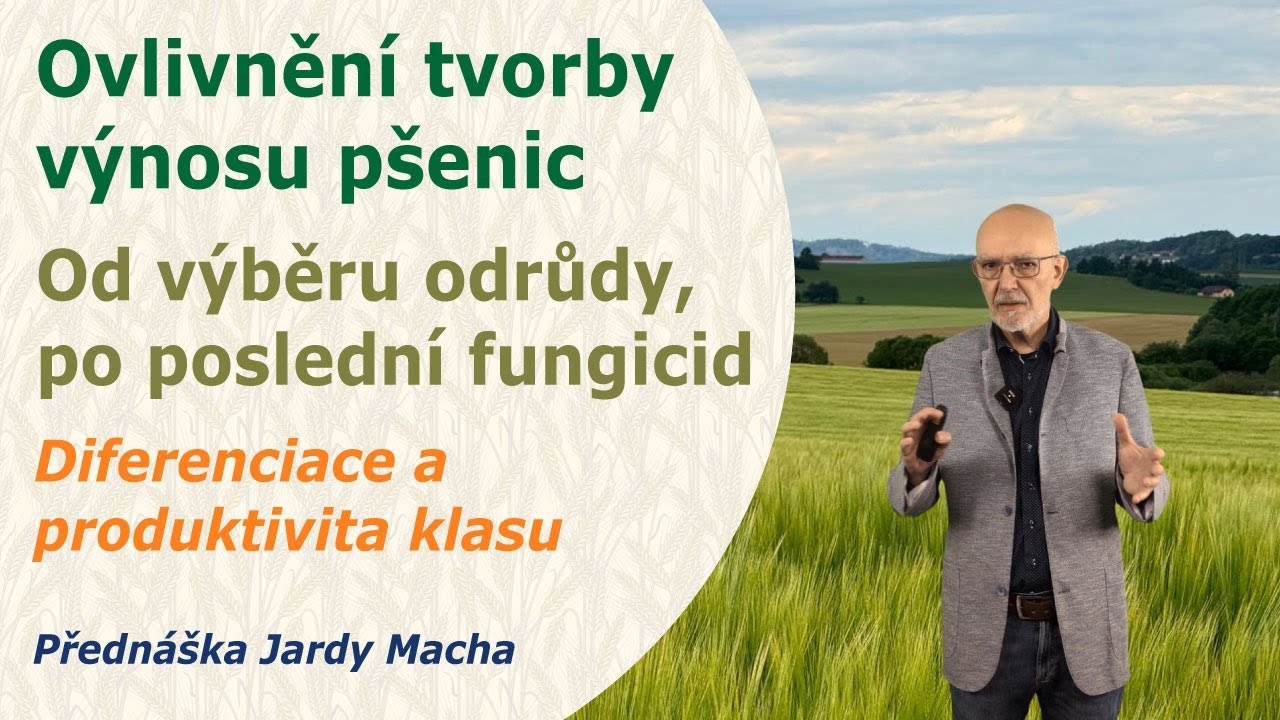 Důležité momenty, které ovlivňují diferenciaci a produktivitu klasu. Rizikové momenty. Jarda Mach