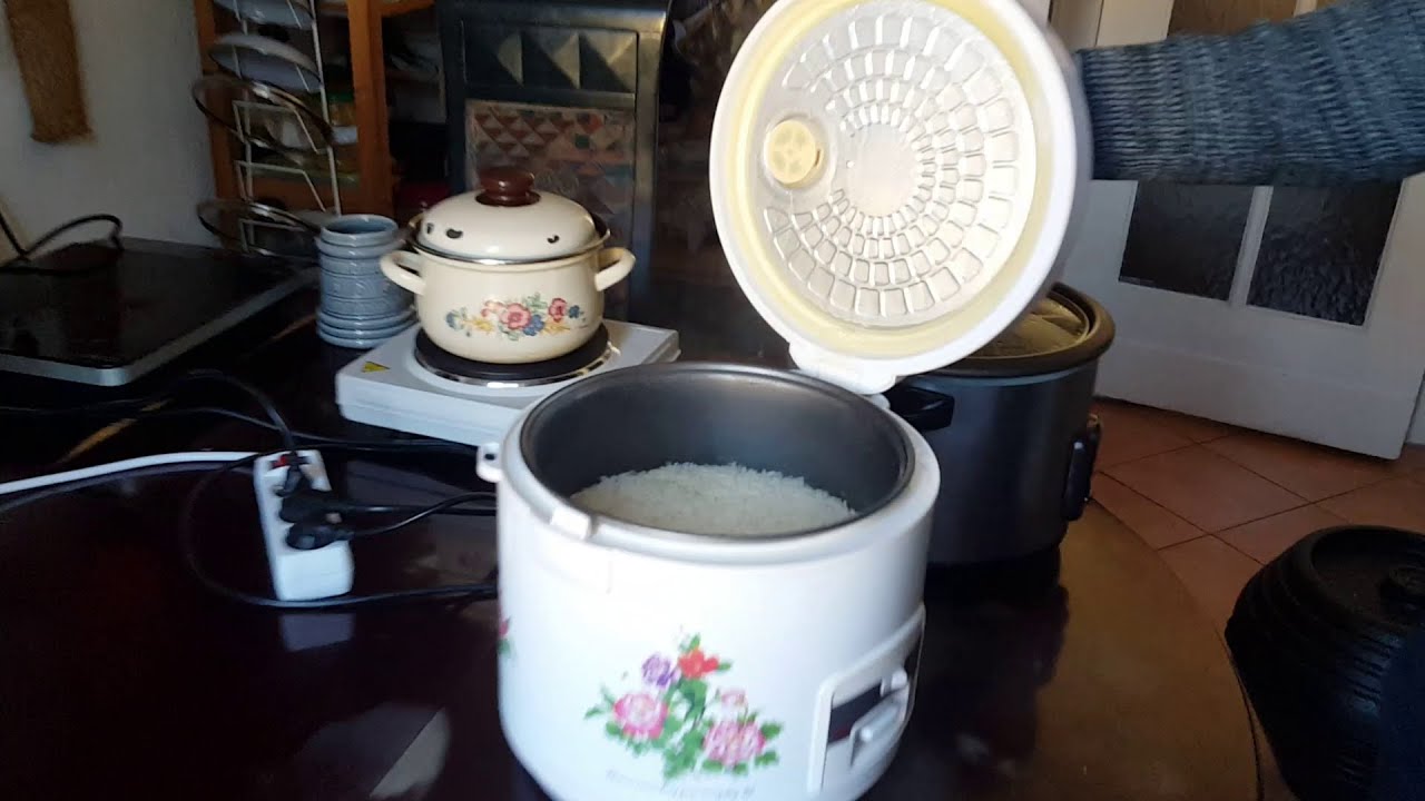 Energy Efficient Cooking with a Rice Cooker – Introduction + Cooking Rice