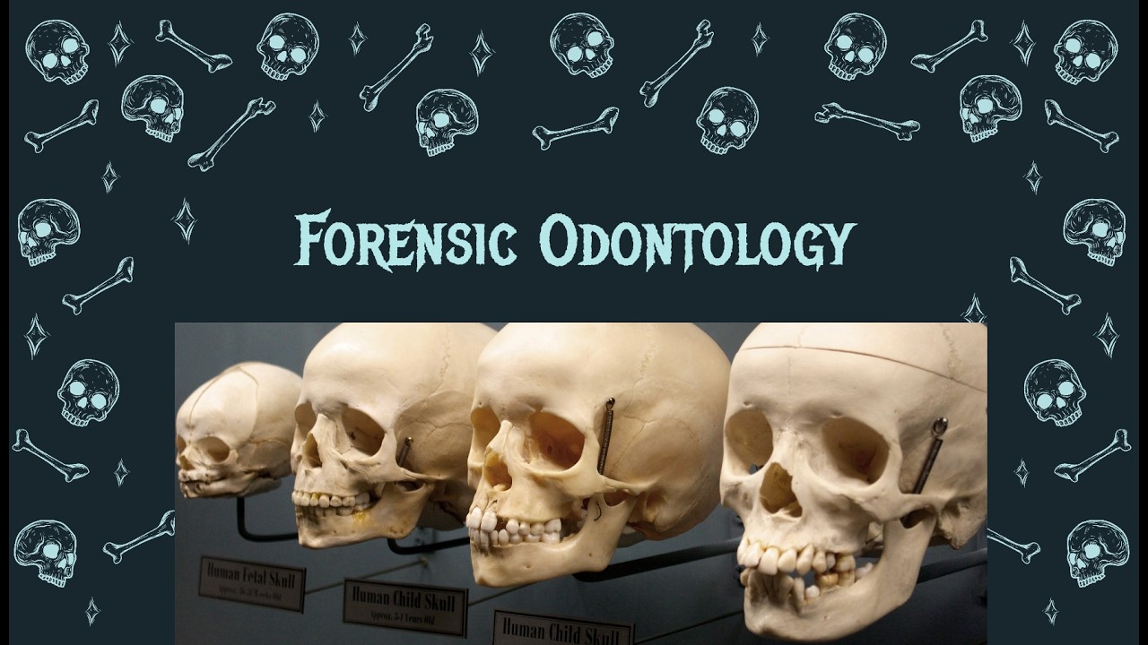 Forensic odontology