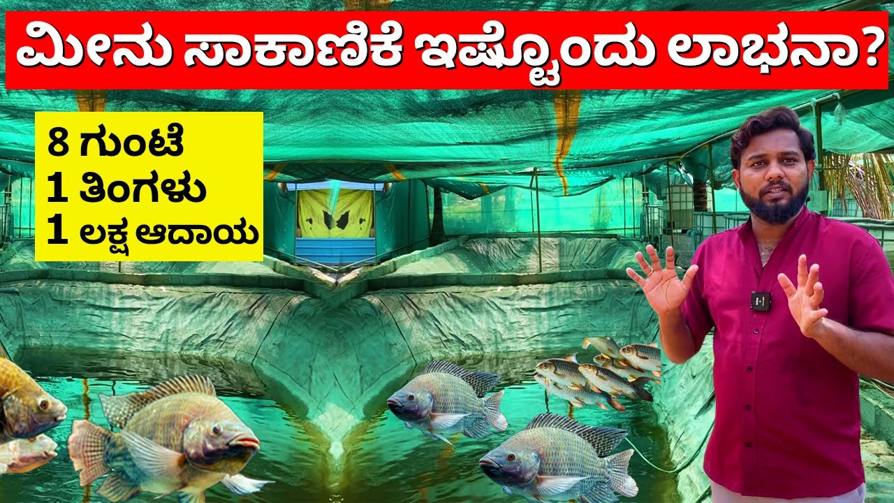 ಮೀನು ಸಾಕಾಣಿಕೆ ಮಾಡಬೇಕಾ ಮೊದಲು ಈ ವೀಡಿಯೊ ನೋಡಿ | Fish farm Karnataka | tilapia fish | jilebi fish farm