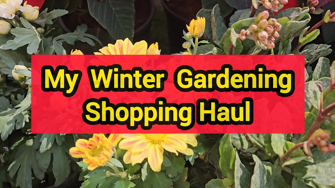 My Winter Gardening Shopping Haul (2025) | Garden Shopping | Fun Gardening