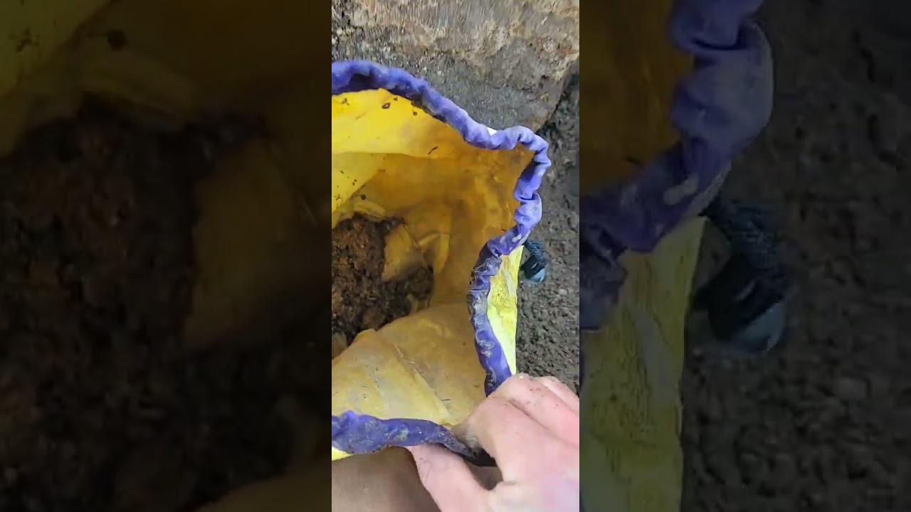 FINDING A TON OF AMYTHST #crystals #treasure #minerals