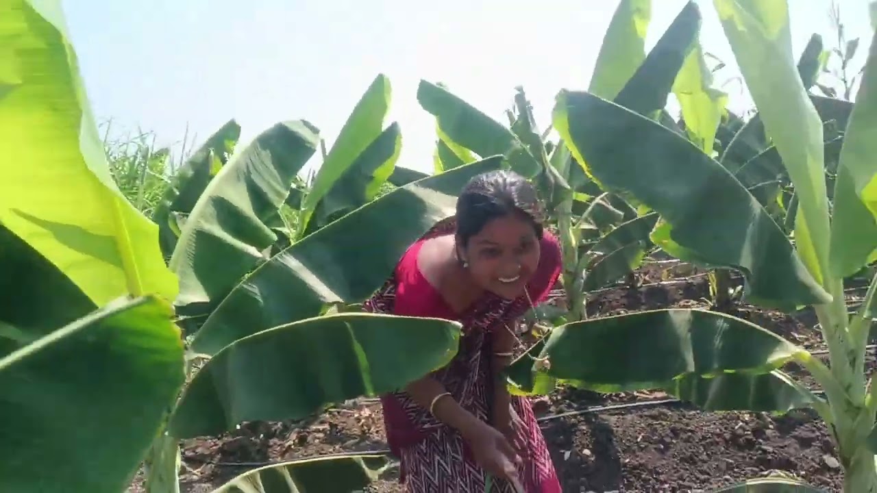 नंदन बाईला रंग लावायला गेले रानात. 💁😮‍💨#matichaasparsh #viral #trendingnow 