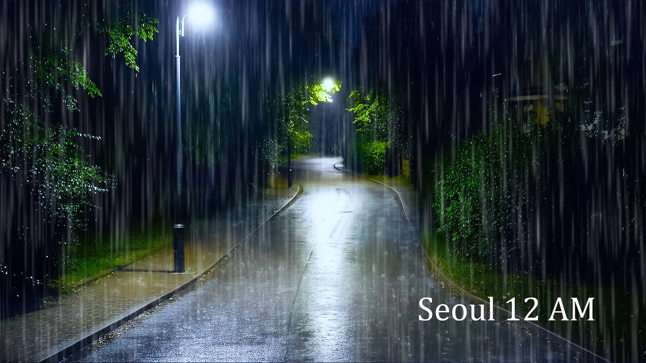 Sleep Soundly Tonight with Night Road Rain | White Noise for Deep Sleep & Insomnia Relief
