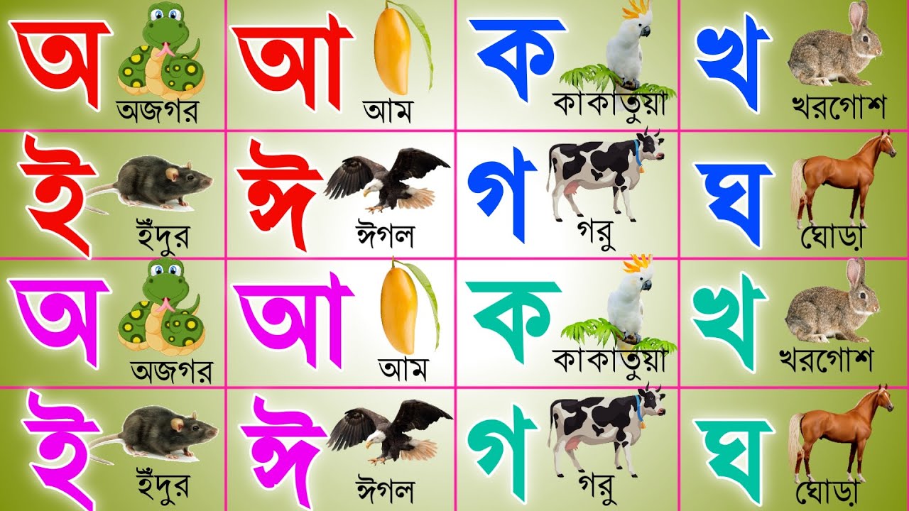 বাংলা বর্ণমালা | অ আ ক খ | Bangla Bornomala | Bangali Alphabet | বাংলা স্বরবর্ণ ও ব্যঞ্জনবর্ণ | kids