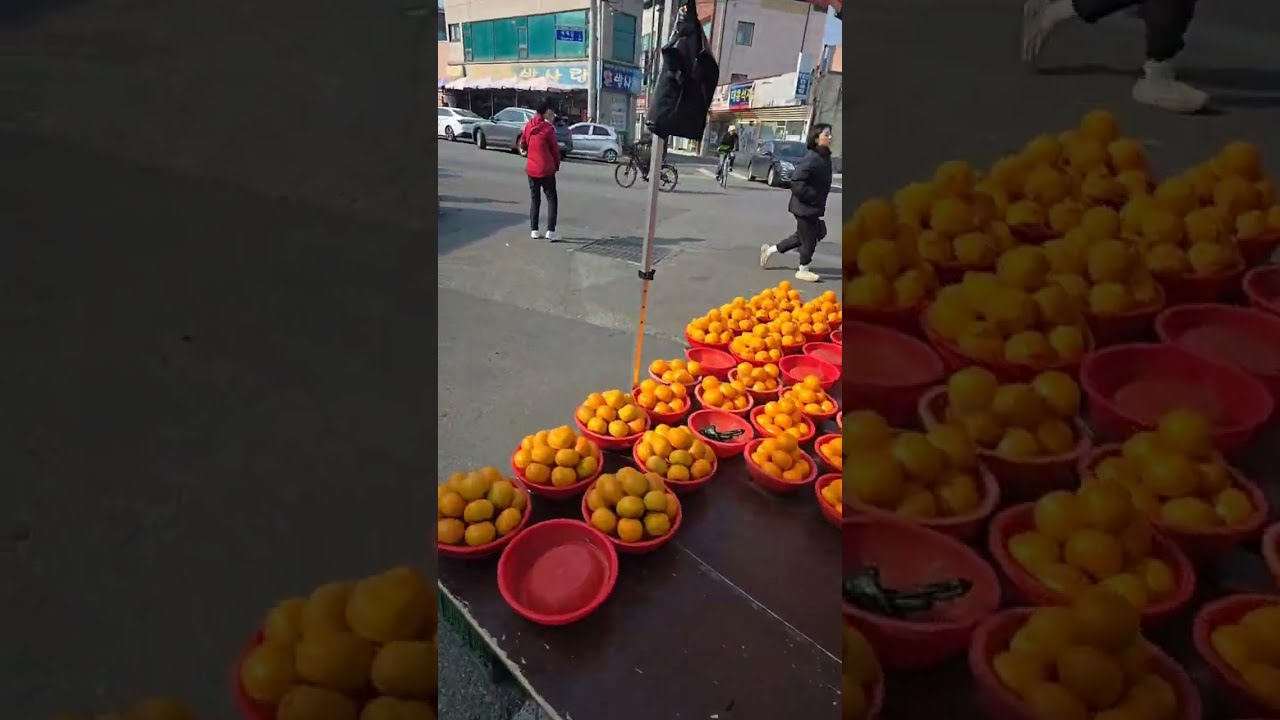 26.3.10 양포편 오천5일장구경