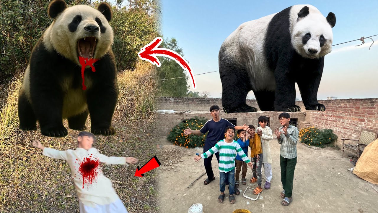 Panda attack on my pet house😥.#pandaattack #pethouse #billadeath