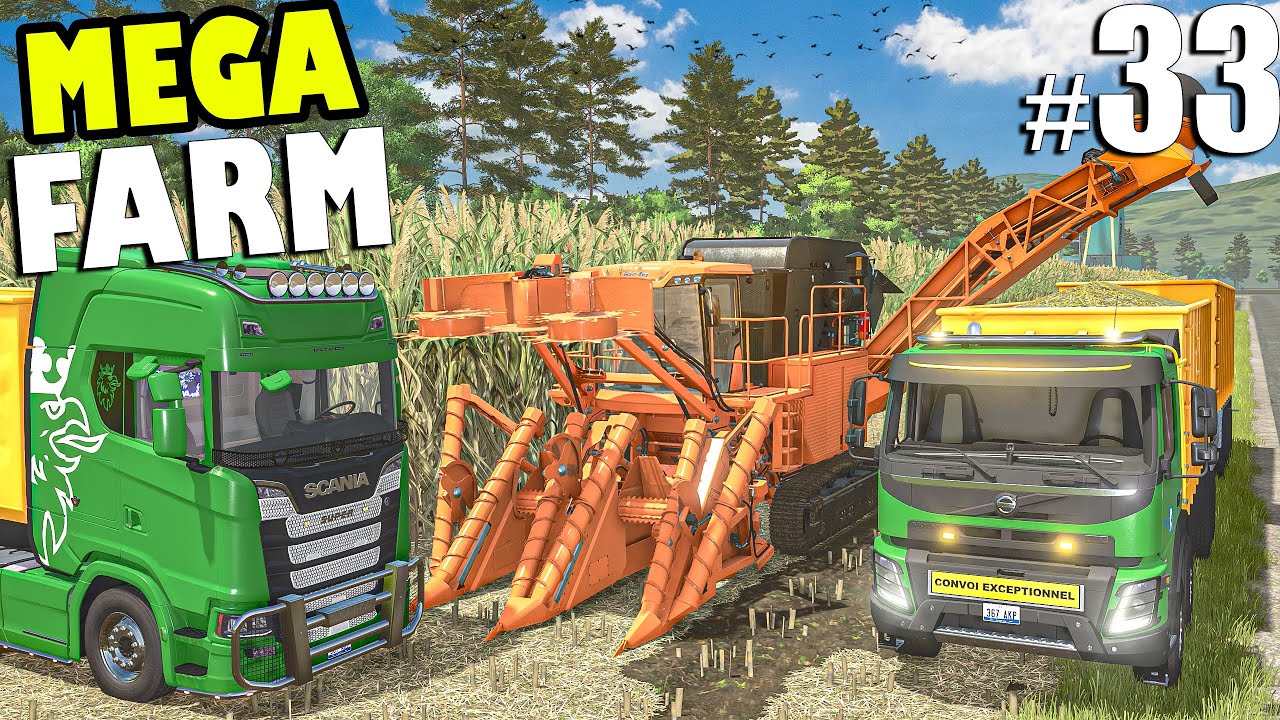 SUGARCANE HARVEST & LOAD w/ SCANIA and VOLVO | MEGA FARM Challenge | Farming Simulator 25