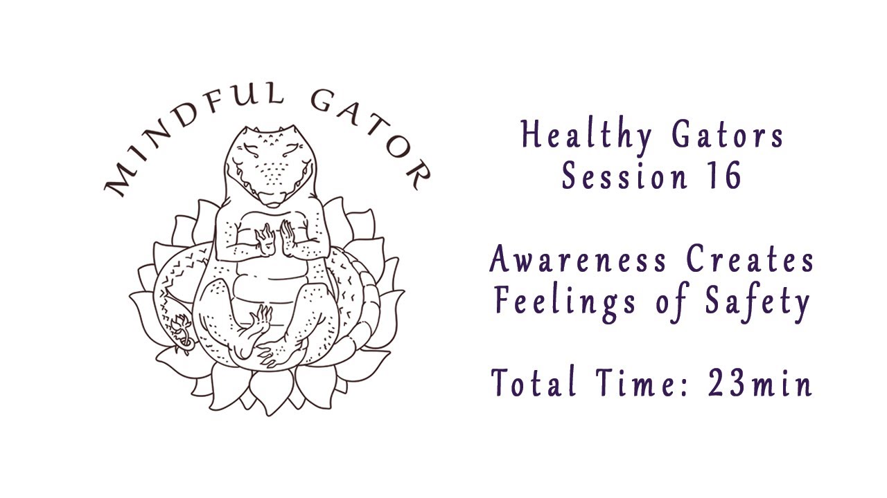 Mindful Gator: Session 16, Awareness Creates Feelings of Safety