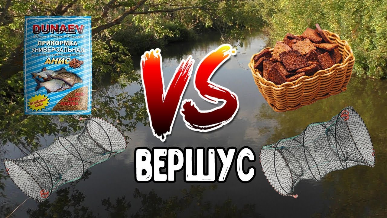 Ловля рыбы на вершу. Баттл: прикорм с магазина VS сухари.