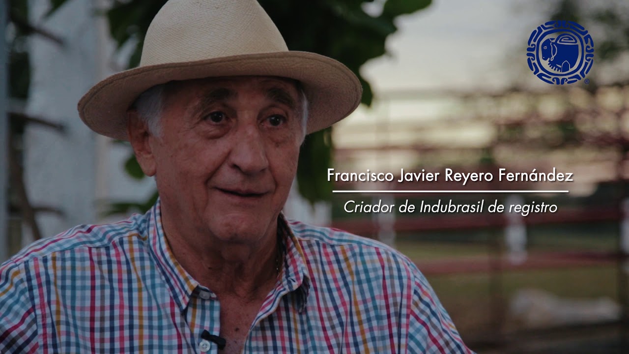 Raza Indubrasil