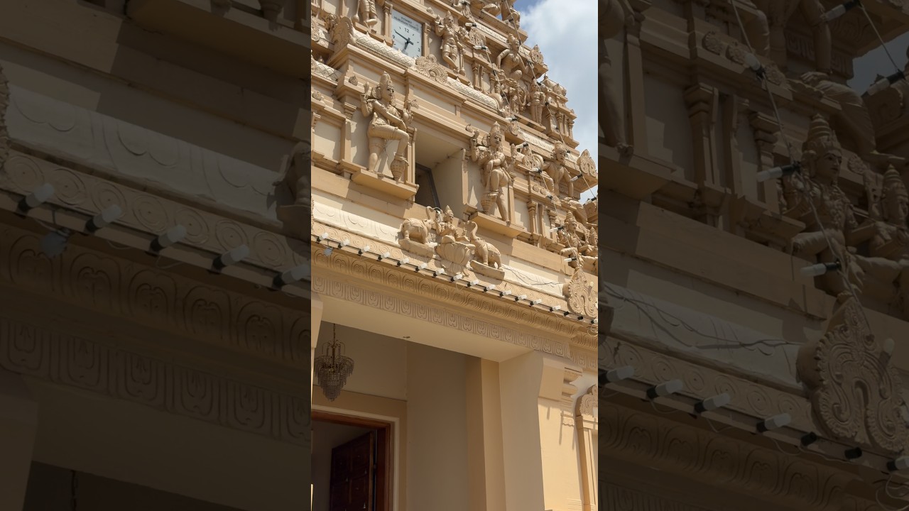 Dosa Hut, Harris Park | Temple Visit & Birthday Celebration ✨| parramatta |murugan temple |sydney