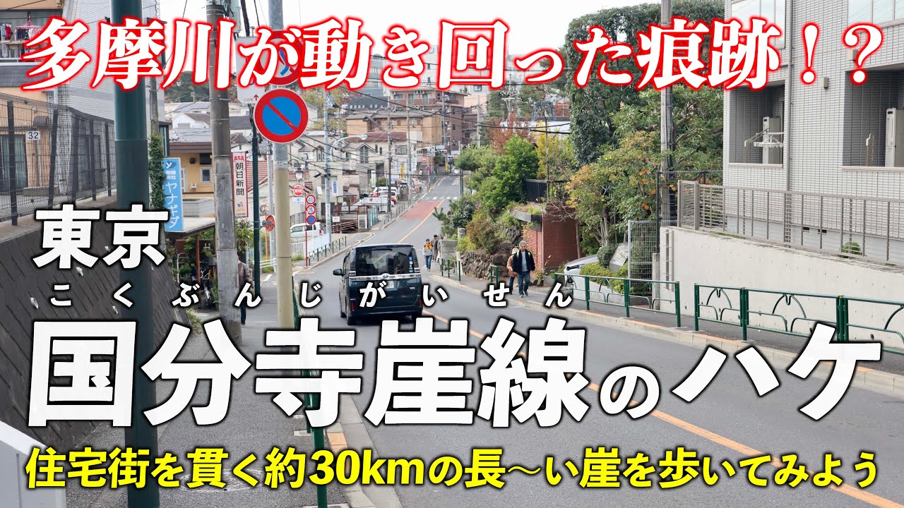 東京･国分寺崖線 ｜ 多摩川は動き回った！？ 住宅街を貫く崖を見ていこう