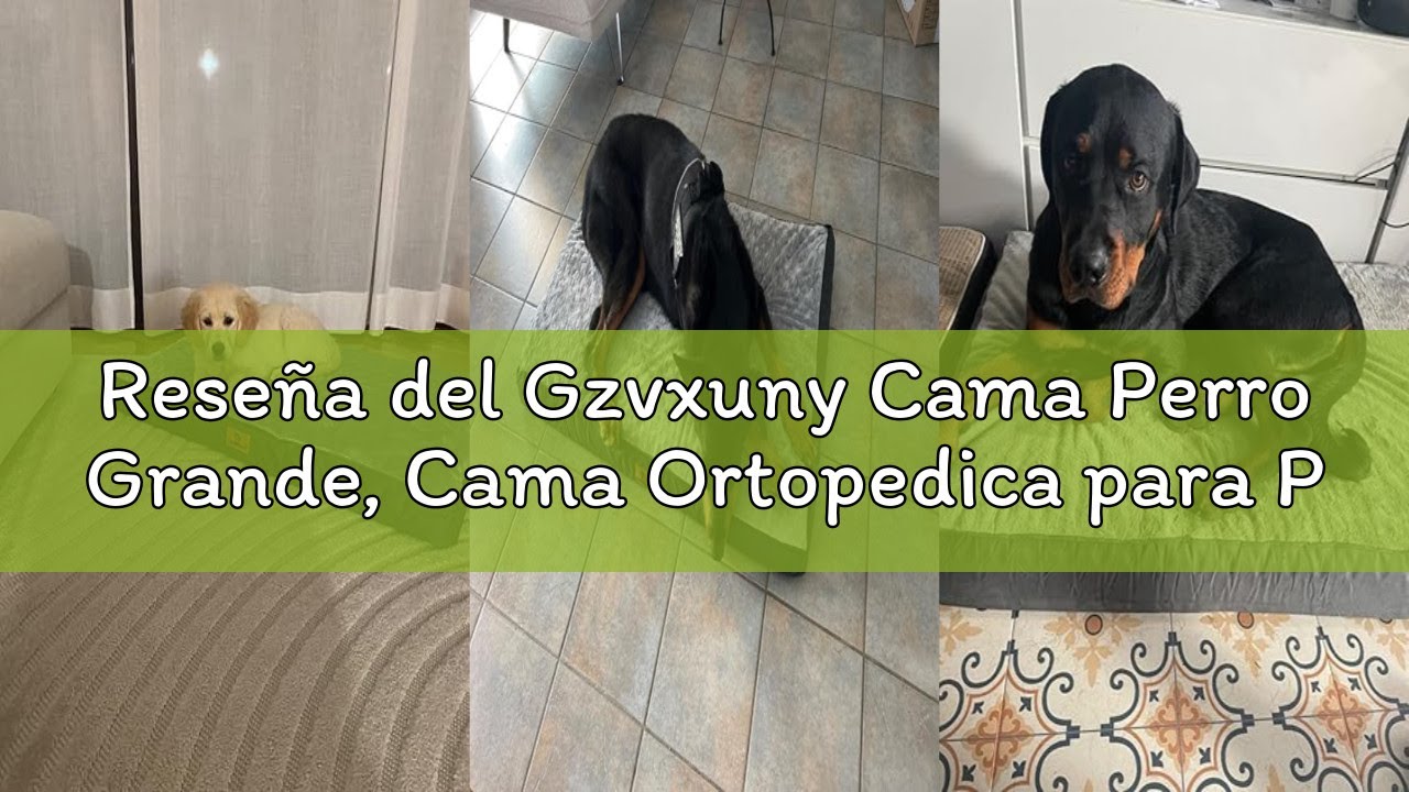 Reseña del Gzvxuny Cama Perro Grande, Cama Ortopedica para Perros Impermeable con Espuma De Caja De