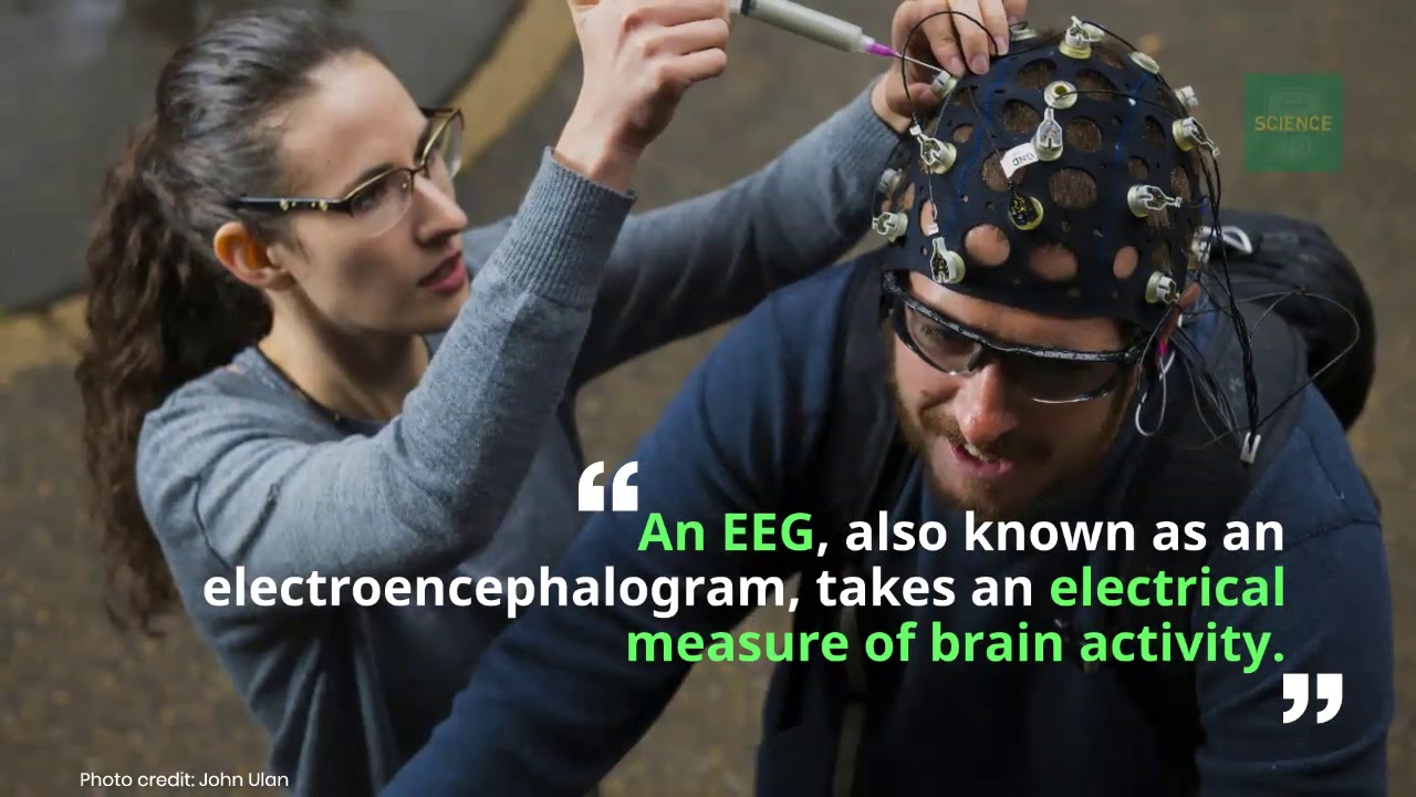 A new frame of mind: EEG headsets transform learning for neuroscience students