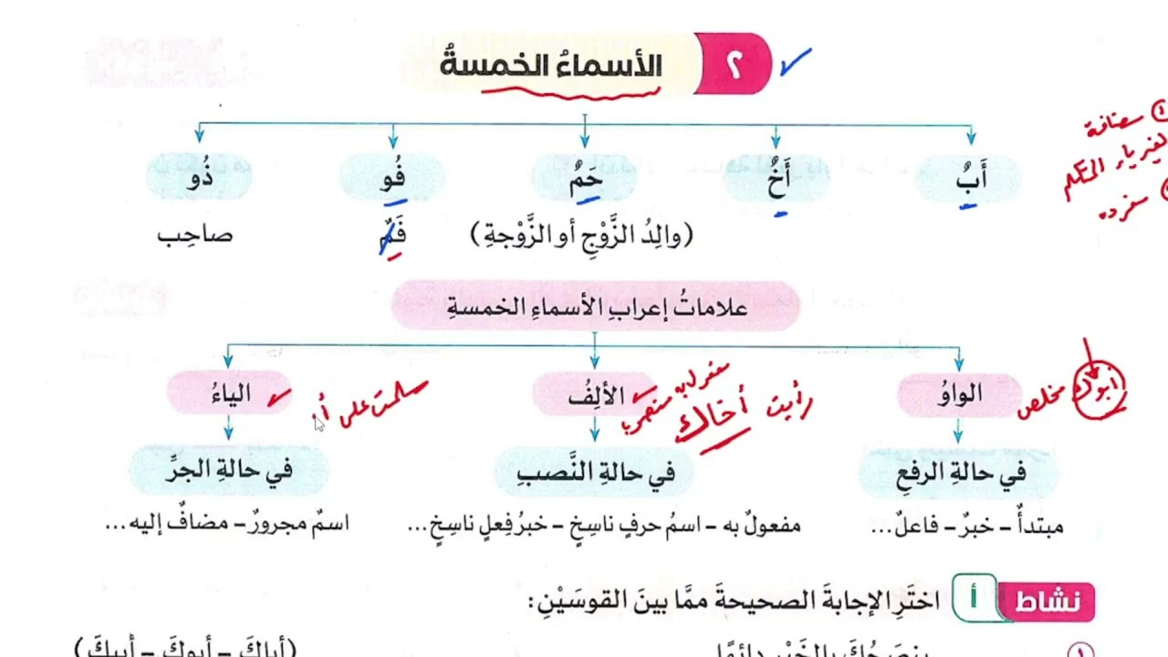 2/ حل كتاب سلاح التلميذ 2026 ( الأسماء الخمسة ) الترم الثاني،الصف السادس الابتدائي،أ/إسلام الجنايني