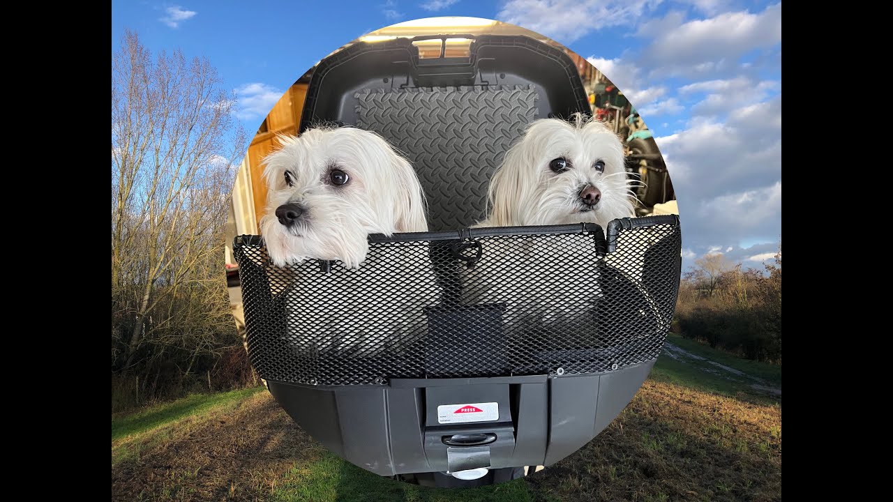 COFFRE POUR SCOOTER OU MOTO POUR METTRE 2 PETITS CHIENS TYPE BICHONS YORKSHIRE SHYTZU
