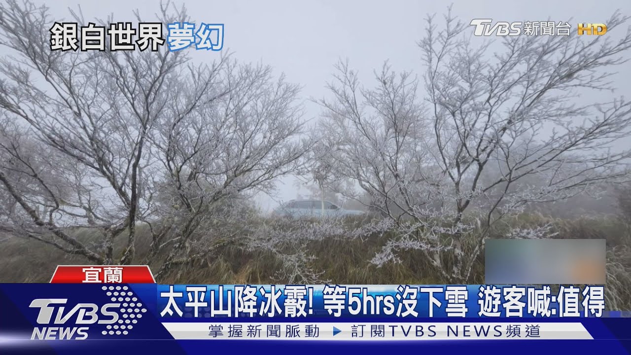 太平山成銀白世界!0度低溫「現冰霰.霧淞」｜TVBS新聞 @tvbsnews24live