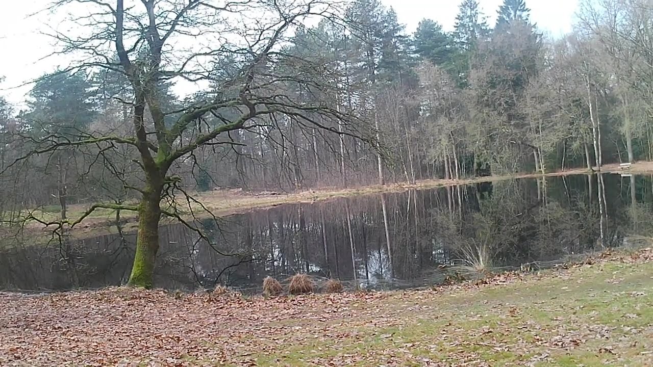 Meertje het Appeltje Wolfsbergenweg ook nog geen 🐸🐸🐸🐸