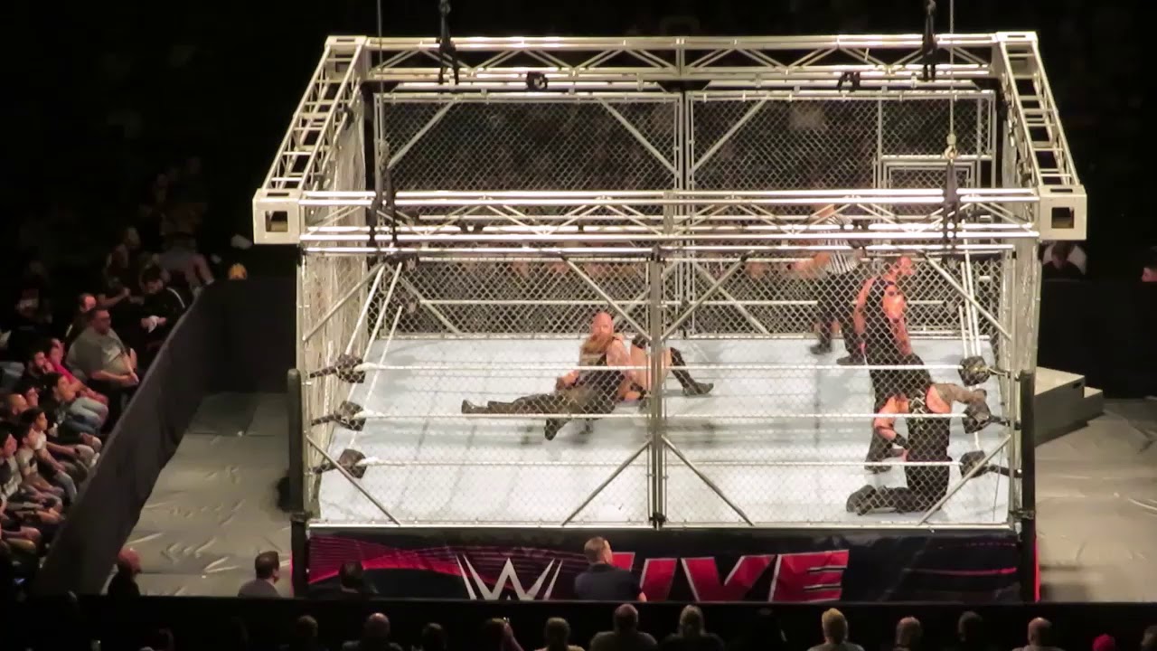 WWE Live Sydney - 21 October 2019-  Roman Reigns and Daniel Bryan Cage Match