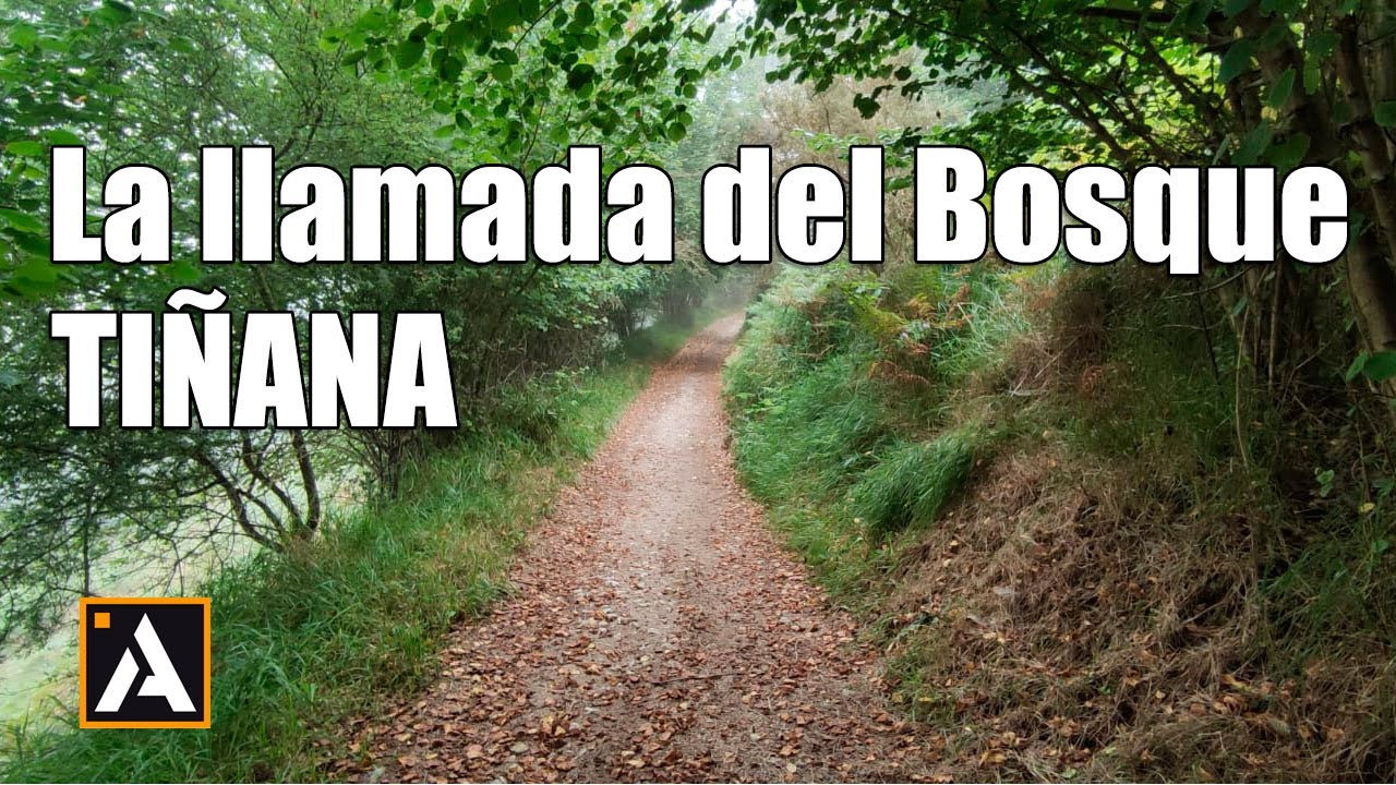 La llamada del bosque, Tiñana | Rutas en bici por Asturias